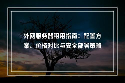 外网服务器租用指南：配置方案、价格对比与安全部署策略