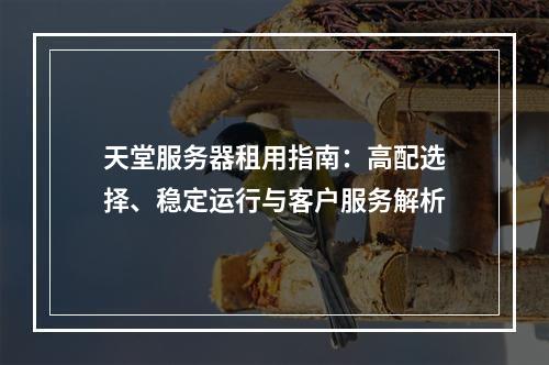 天堂服务器租用指南：高配选择、稳定运行与客户服务解析