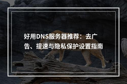 好用DNS服务器推荐：去广告、提速与隐私保护设置指南