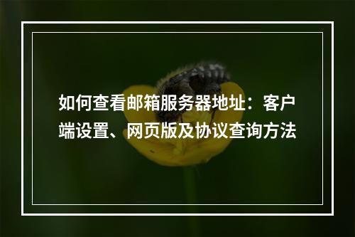 如何查看邮箱服务器地址：客户端设置、网页版及协议查询方法