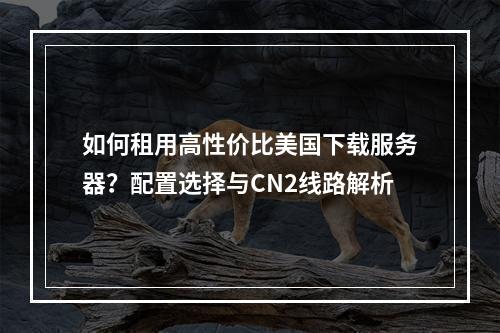 如何租用高性价比美国下载服务器？配置选择与CN2线路解析