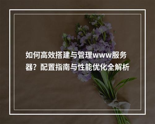如何高效搭建与管理www服务器？配置指南与性能优化全解析