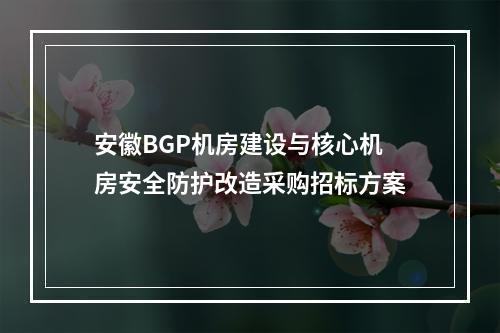 安徽BGP机房建设与核心机房安全防护改造采购招标方案