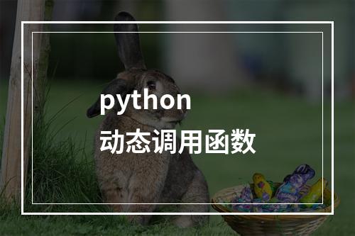 python 动态调用函数