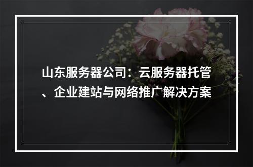 山东服务器公司：云服务器托管、企业建站与网络推广解决方案