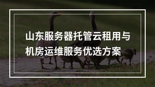 山东服务器托管云租用与机房运维服务优选方案