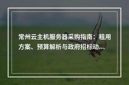 常州云主机服务器采购指南：租用方案、预算解析与政府招标动态