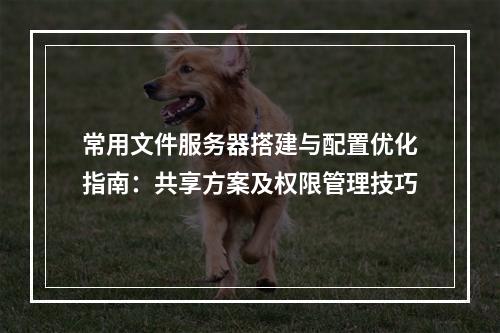 常用文件服务器搭建与配置优化指南：共享方案及权限管理技巧