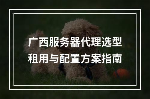 广西服务器代理选型租用与配置方案指南