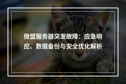 微盟服务器突发故障：应急响应、数据备份与安全优化解析