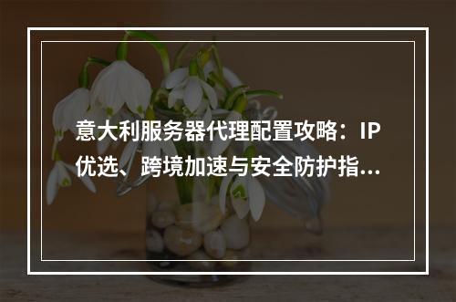 意大利服务器代理配置攻略：IP优选、跨境加速与安全防护指南