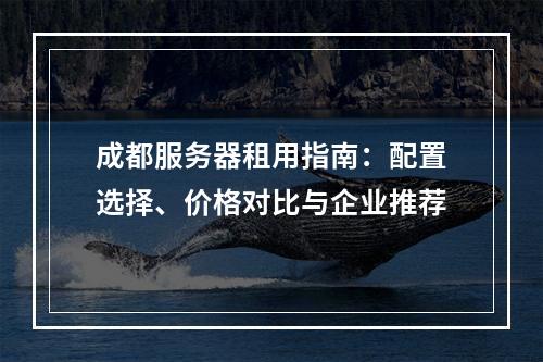 成都服务器租用指南：配置选择、价格对比与企业推荐