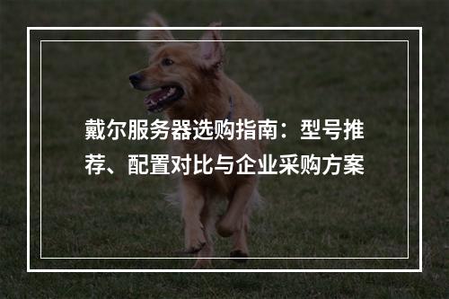 戴尔服务器选购指南：型号推荐、配置对比与企业采购方案