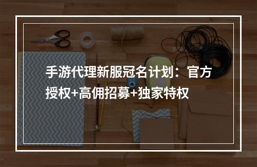 手游代理新服冠名计划：官方授权+高佣招募+独家特权