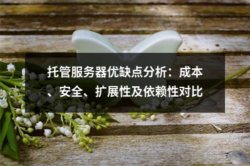 托管服务器优缺点分析：成本、安全、扩展性及依赖性对比