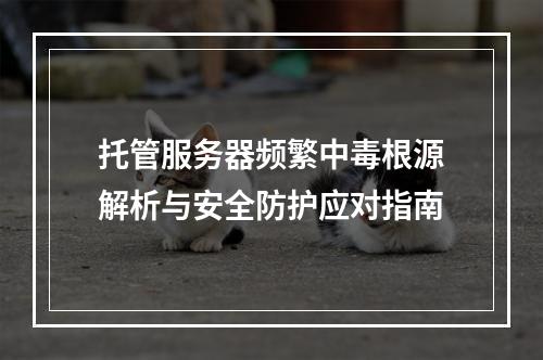 托管服务器频繁中毒根源解析与安全防护应对指南