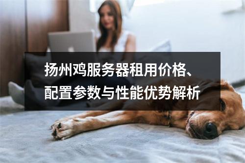 扬州鸡服务器租用价格、配置参数与性能优势解析