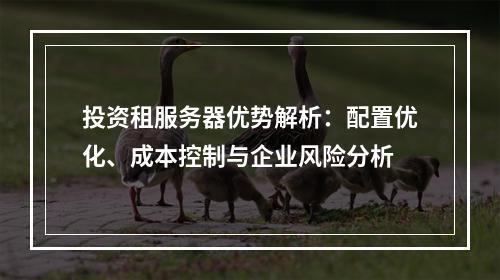 投资租服务器优势解析：配置优化、成本控制与企业风险分析