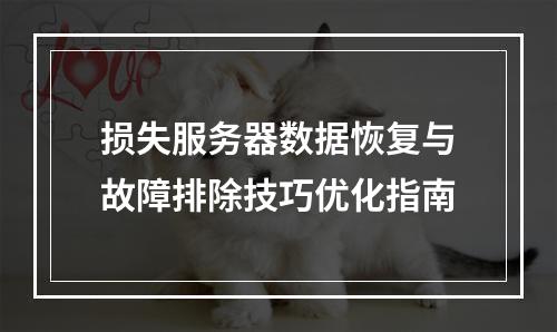 损失服务器数据恢复与故障排除技巧优化指南