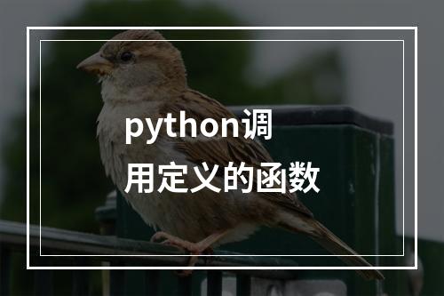 python调用定义的函数
