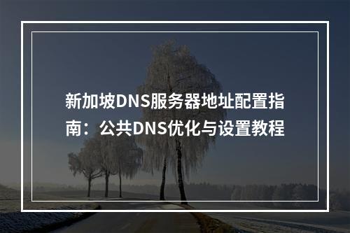 新加坡DNS服务器地址配置指南：公共DNS优化与设置教程