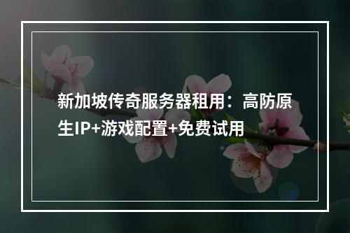 新加坡传奇服务器租用：高防原生IP+游戏配置+免费试用