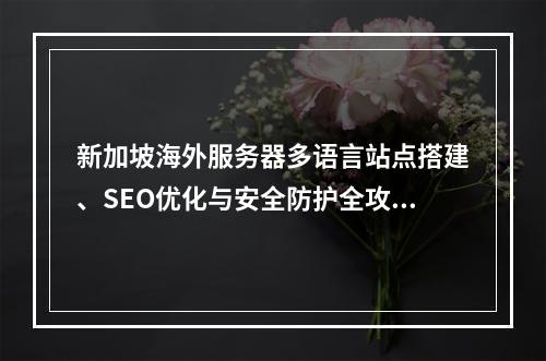 新加坡海外服务器多语言站点搭建、SEO优化与安全防护全攻略