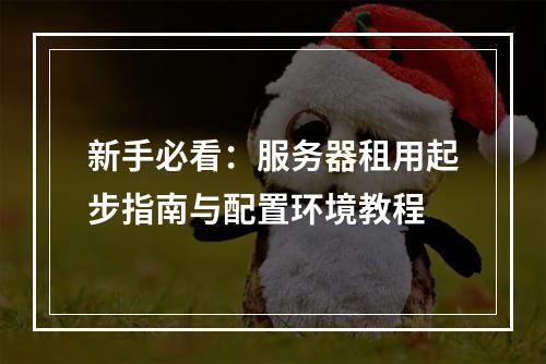 新手必看：服务器租用起步指南与配置环境教程