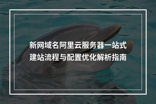 新网域名阿里云服务器一站式建站流程与配置优化解析指南