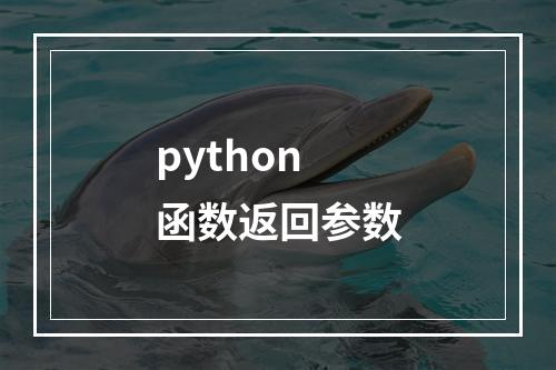 python 函数返回参数