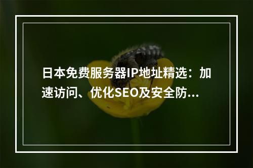 日本免费服务器IP地址精选：加速访问、优化SEO及安全防护
