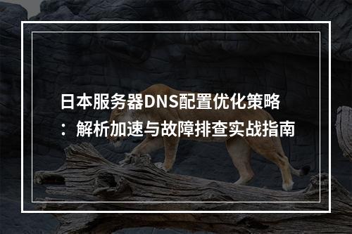 日本服务器DNS配置优化策略：解析加速与故障排查实战指南