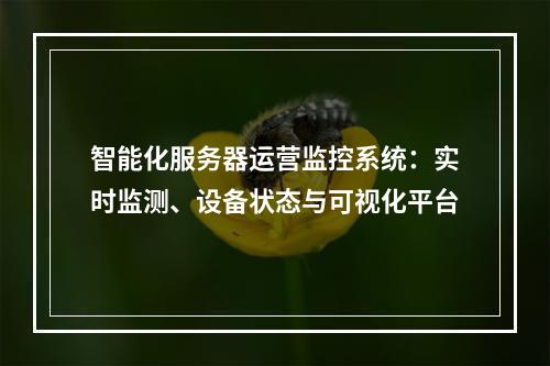 智能化服务器运营监控系统：实时监测、设备状态与可视化平台