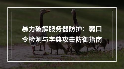 暴力破解服务器防护：弱口令检测与字典攻击防御指南