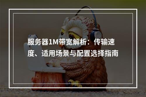 服务器1M带宽解析：传输速度、适用场景与配置选择指南