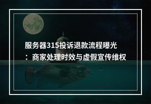 服务器315投诉退款流程曝光：商家处理时效与虚假宣传维权