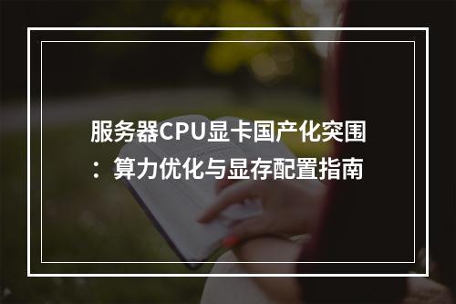 服务器CPU显卡国产化突围：算力优化与显存配置指南