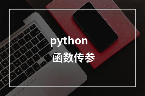 python 函数传参