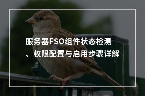 服务器FSO组件状态检测、权限配置与启用步骤详解