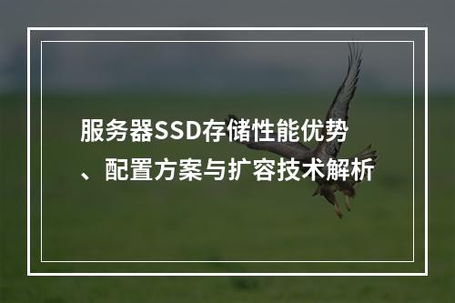 服务器SSD存储性能优势、配置方案与扩容技术解析
