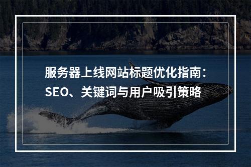 服务器上线网站标题优化指南：SEO、关键词与用户吸引策略