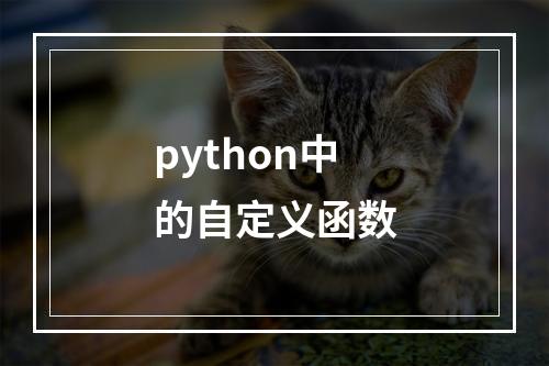python中的自定义函数