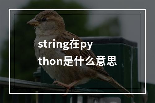 string在python是什么意思