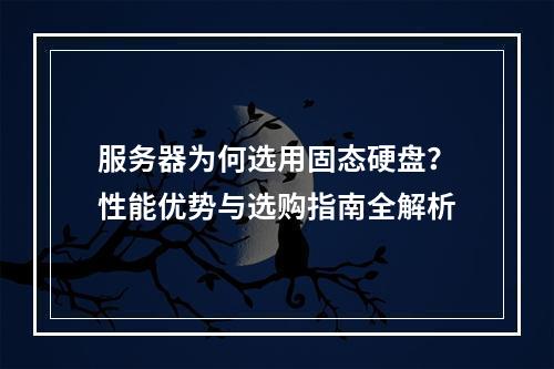 服务器为何选用固态硬盘？性能优势与选购指南全解析