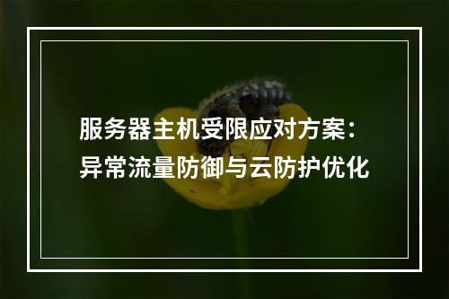 服务器主机受限应对方案：异常流量防御与云防护优化