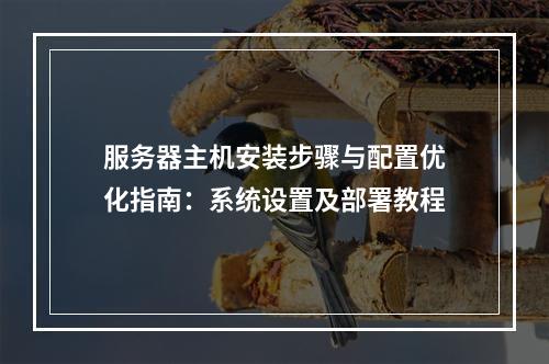 服务器主机安装步骤与配置优化指南：系统设置及部署教程