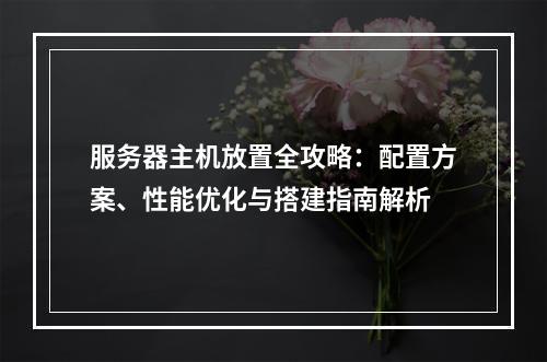 服务器主机放置全攻略：配置方案、性能优化与搭建指南解析