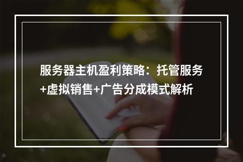 服务器主机盈利策略：托管服务+虚拟销售+广告分成模式解析