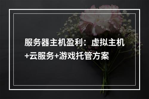服务器主机盈利：虚拟主机+云服务+游戏托管方案