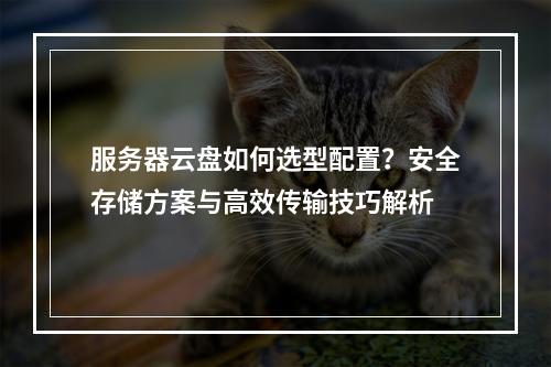 服务器云盘如何选型配置？安全存储方案与高效传输技巧解析